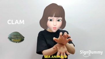 asl lesson: sea animals