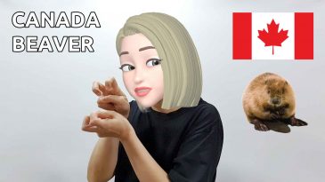 asl sign canada beaver
