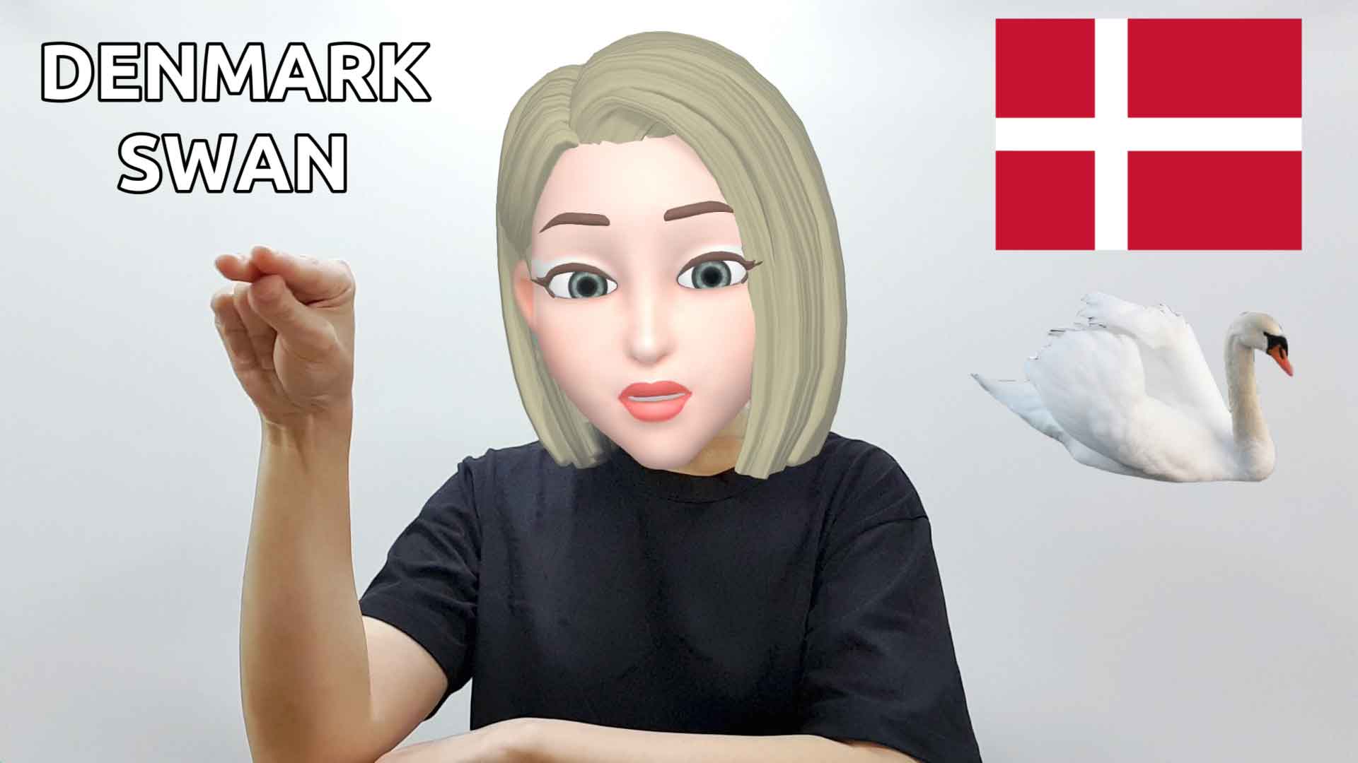 What is the American Sign Language sign for Denmark swan?