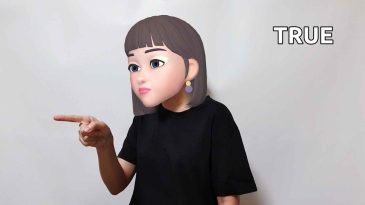 asl sign for false true
