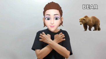 asl sign for bear