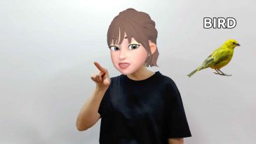 asl sign for bird