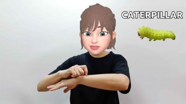 asl sign for caterpillar