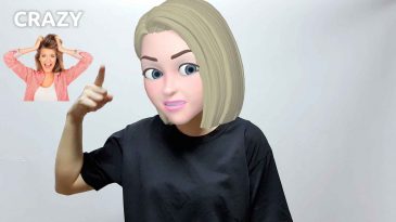 asl sign for crazy