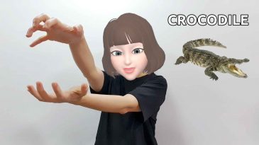 asl sign for crocodile