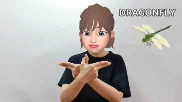 asl sign for dragonfly