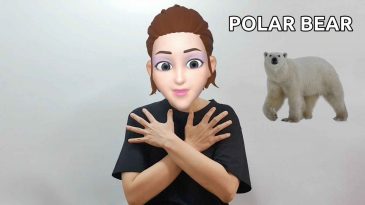 asl sign for polar bear