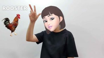 asl sign for rooster