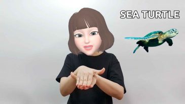 asl sign for sea turtle