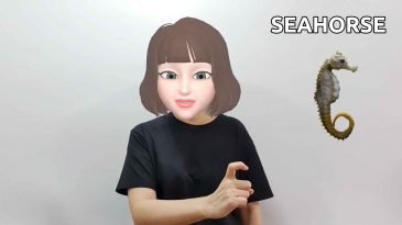 asl sign for seahorse