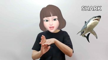 asl sign for shark