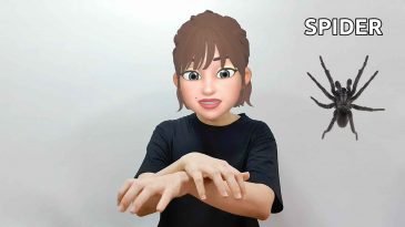 asl sign for spider