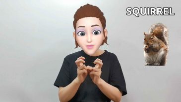 asl sign for squirrel