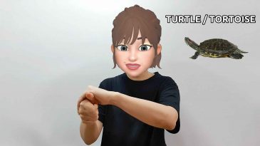 asl sign for turtle