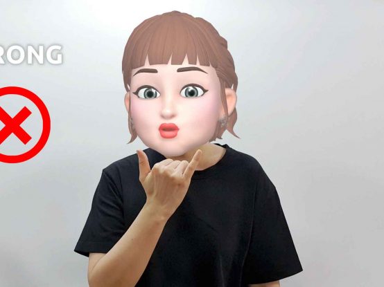 How to say correct and wrong in American Sign Language ASL sign?