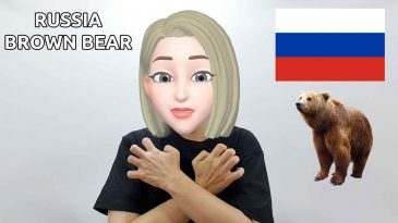 asl sign russia brown bear