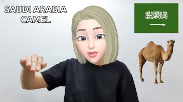 asl sign saudi arabia camel