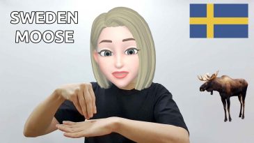 asl sign sweden moose
