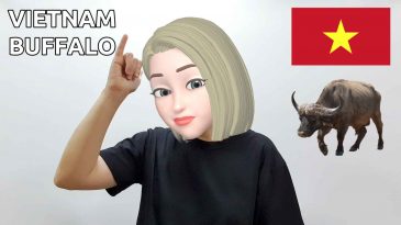 asl sign for vietnam buffalo