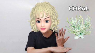 scuba diving hand signal for coral