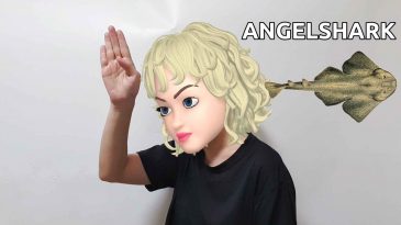 scuba diving hand signal for angelshark