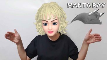 scuba diving hand signal for manta ray