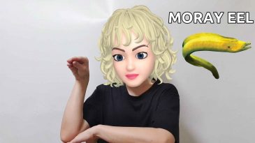 scuba diving hand signal for moray eel