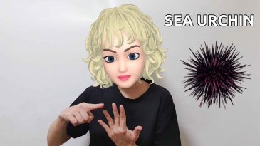 scuba diving hand signal for sea urchin