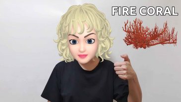 scuba diving hand signal for fire coral